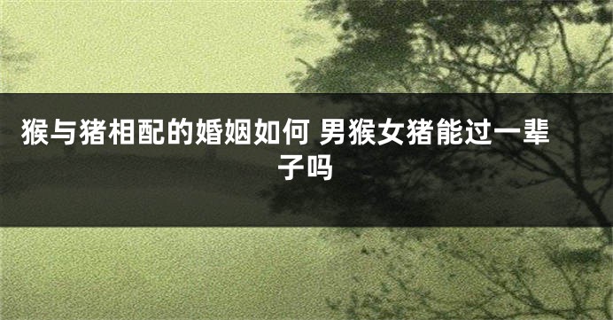 猴与猪相配的婚姻如何 男猴女猪能过一辈子吗