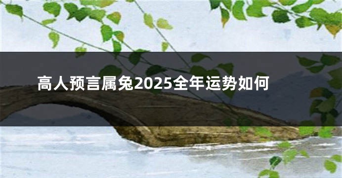 高人预言属兔2025全年运势如何