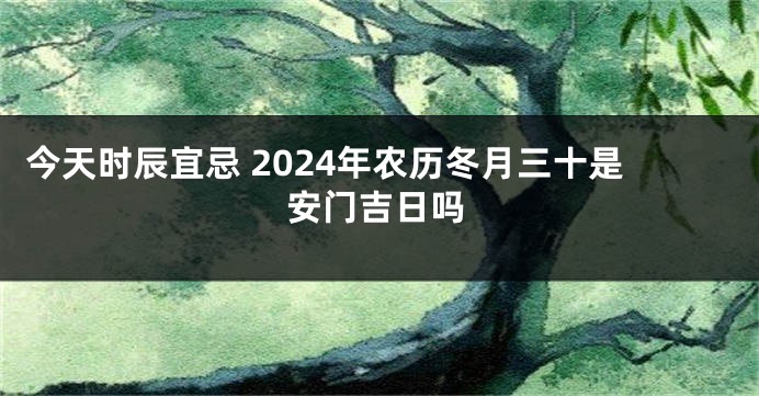 今天时辰宜忌 2024年农历冬月三十是安门吉日吗