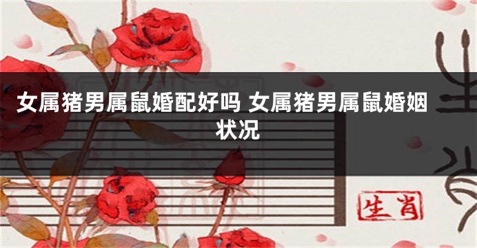 女属猪男属鼠婚配好吗 女属猪男属鼠婚姻状况