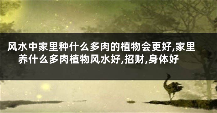 风水中家里种什么多肉的植物会更好,家里养什么多肉植物风水好,招财,身体好