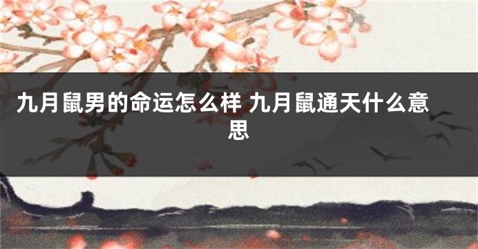 九月鼠男的命运怎么样 九月鼠通天什么意思