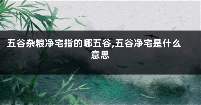 五谷杂粮净宅指的哪五谷,五谷净宅是什么意思