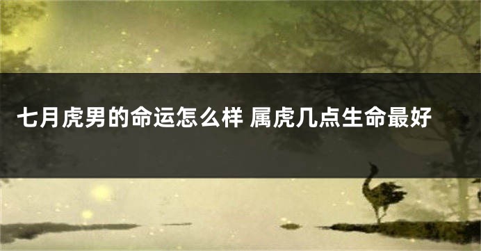 七月虎男的命运怎么样 属虎几点生命最好