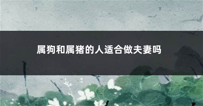 属狗和属猪的人适合做夫妻吗