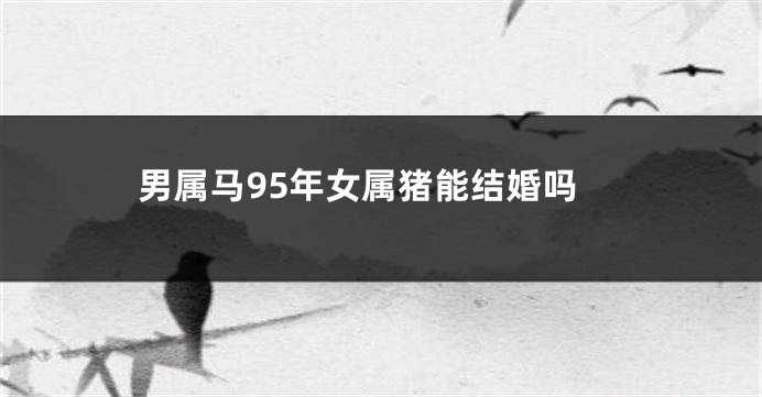 男属马95年女属猪能结婚吗