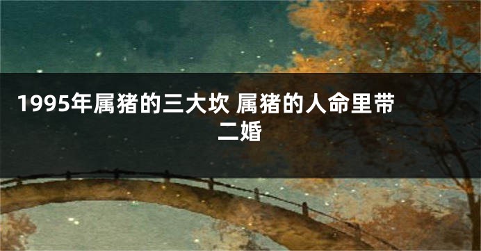 1995年属猪的三大坎 属猪的人命里带二婚