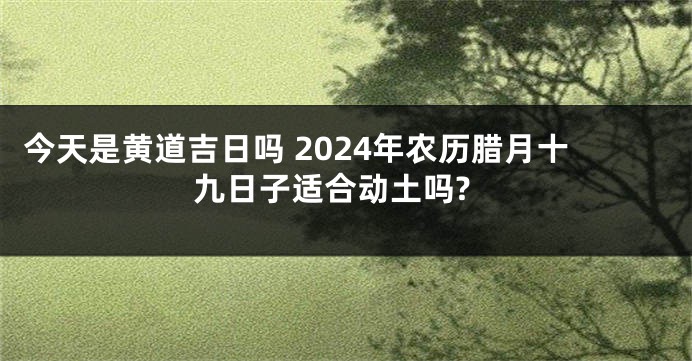 今天是黄道吉日吗 2024年农历腊月十九日子适合动土吗?