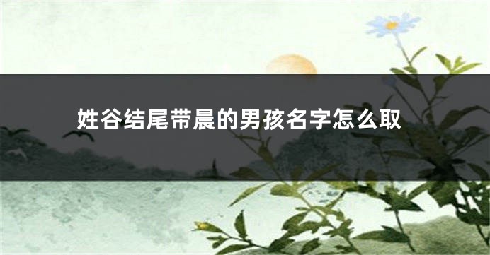 姓谷结尾带晨的男孩名字怎么取
