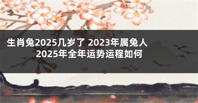 生肖兔2025几岁了 2023年属兔人2025年全年运势运程如何