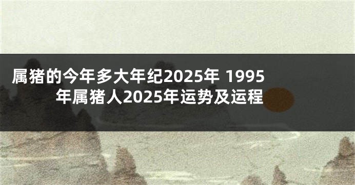 属猪的今年多大年纪2025年 1995年属猪人2025年运势及运程