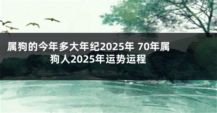 属狗的今年多大年纪2025年 70年属狗人2025年运势运程