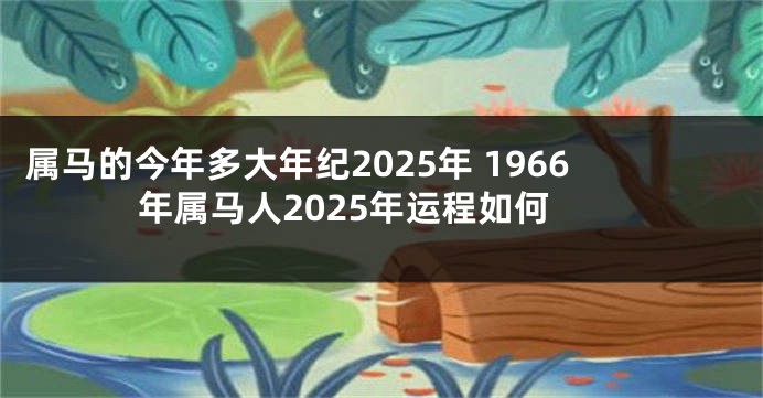 属马的今年多大年纪2025年 1966年属马人2025年运程如何