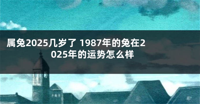 属兔2025几岁了 1987年的兔在2025年的运势怎么样