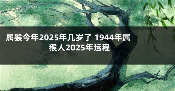 属猴今年2025年几岁了 1944年属猴人2025年运程