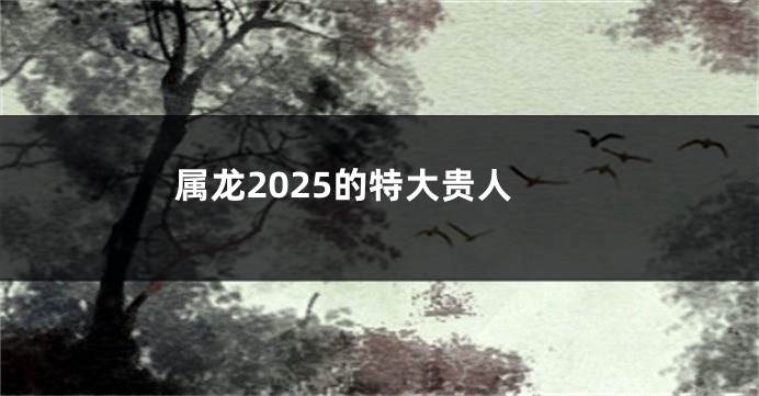 属龙2025的特大贵人