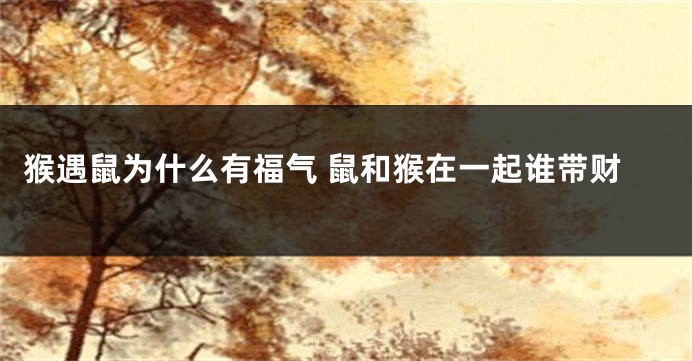 猴遇鼠为什么有福气 鼠和猴在一起谁带财