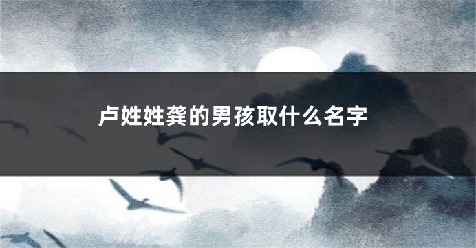 卢姓姓龚的男孩取什么名字