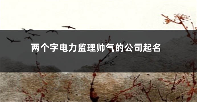 两个字电力监理帅气的公司起名