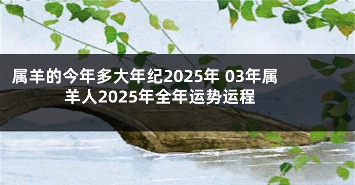 属羊的今年多大年纪2025年 03年属羊人2025年全年运势运程