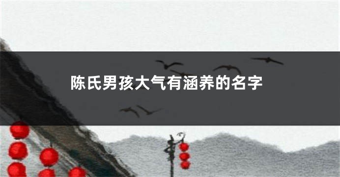 陈氏男孩大气有涵养的名字