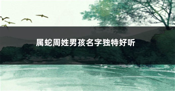 属蛇周姓男孩名字独特好听