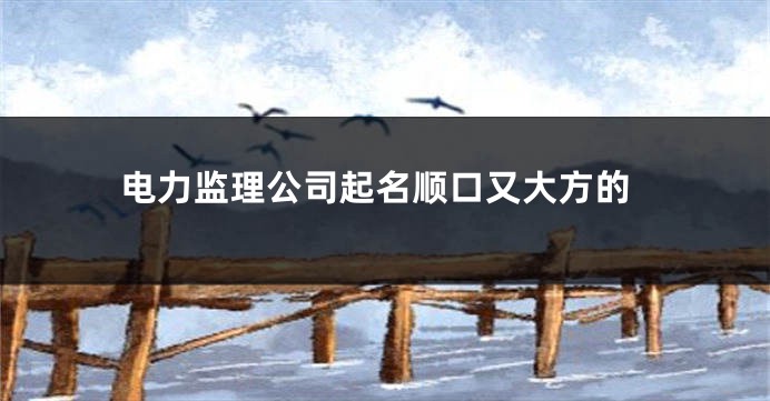 电力监理公司起名顺口又大方的