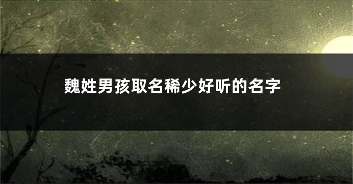 魏姓男孩取名稀少好听的名字