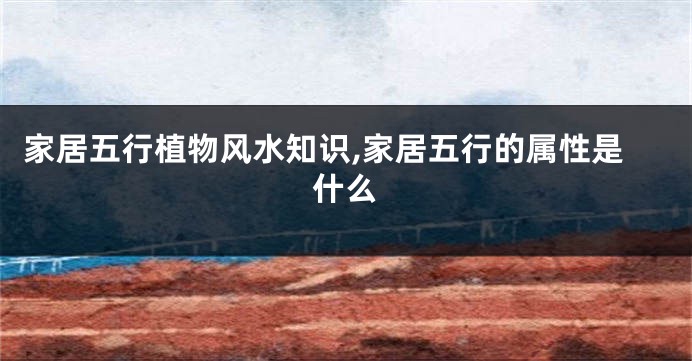 家居五行植物风水知识,家居五行的属性是什么