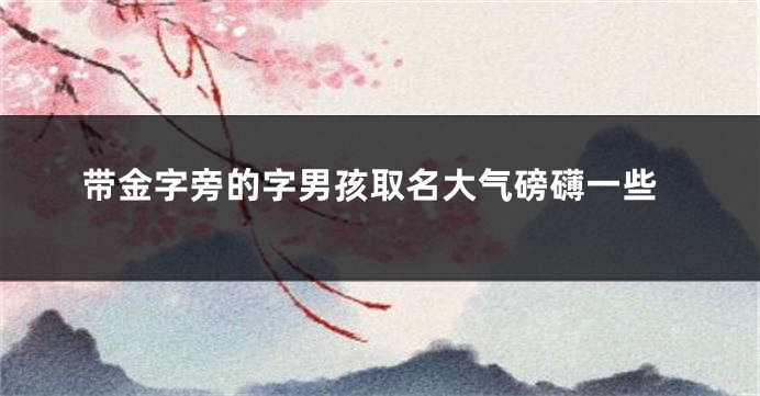 带金字旁的字男孩取名大气磅礴一些