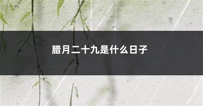 腊月二十九是什么日子
