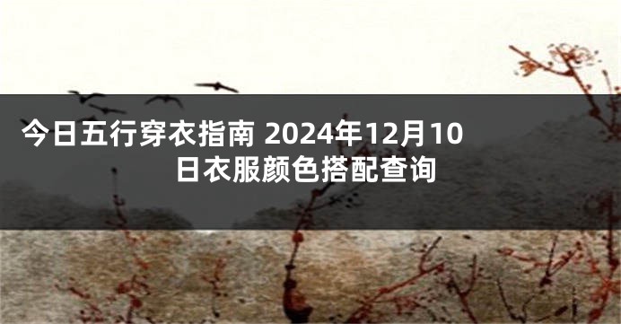 今日五行穿衣指南 2024年12月10日衣服颜色搭配查询