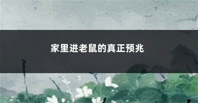 家里进老鼠的真正预兆