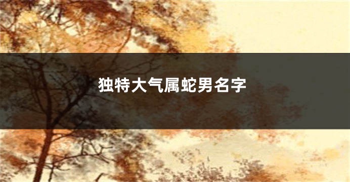 独特大气属蛇男名字