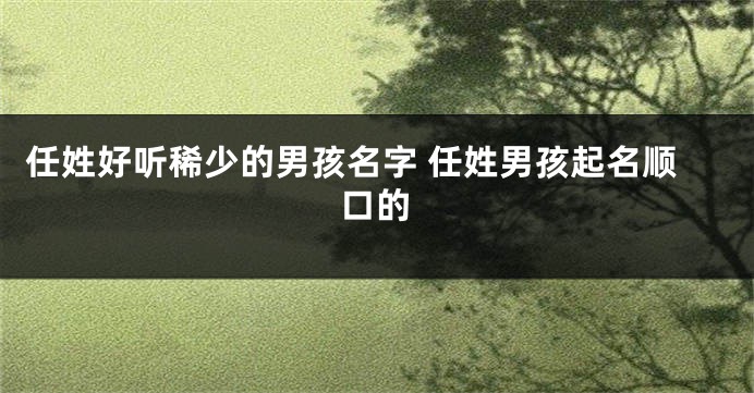 任姓好听稀少的男孩名字 任姓男孩起名顺口的