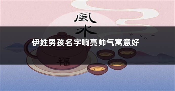 伊姓男孩名字响亮帅气寓意好