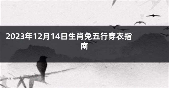 2023年12月14日生肖兔五行穿衣指南