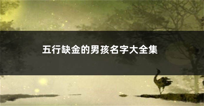 五行缺金的男孩名字大全集