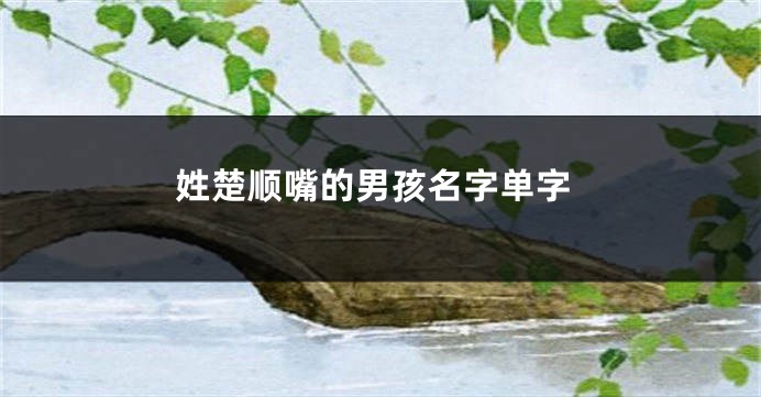 姓楚顺嘴的男孩名字单字
