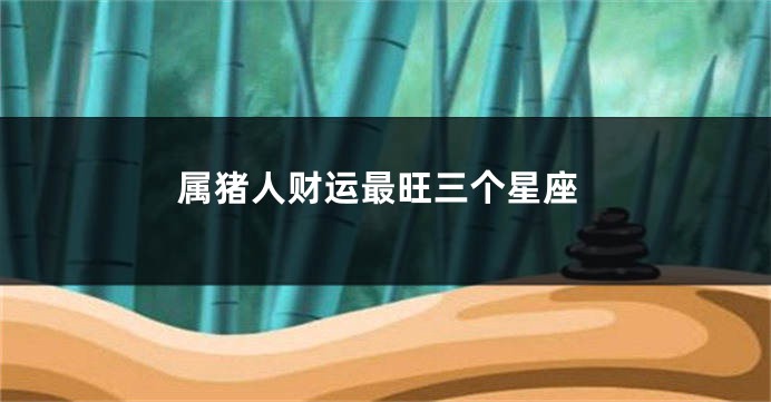 属猪人财运最旺三个星座