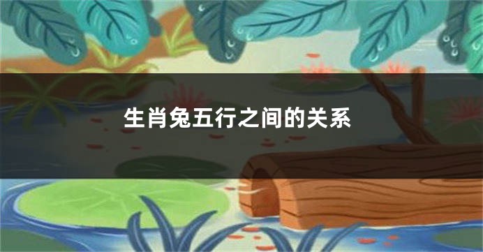 生肖兔五行之间的关系