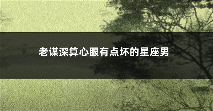 老谋深算心眼有点坏的星座男