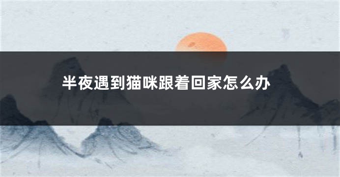 半夜遇到猫咪跟着回家怎么办