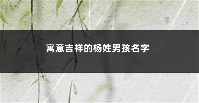 寓意吉祥的杨姓男孩名字