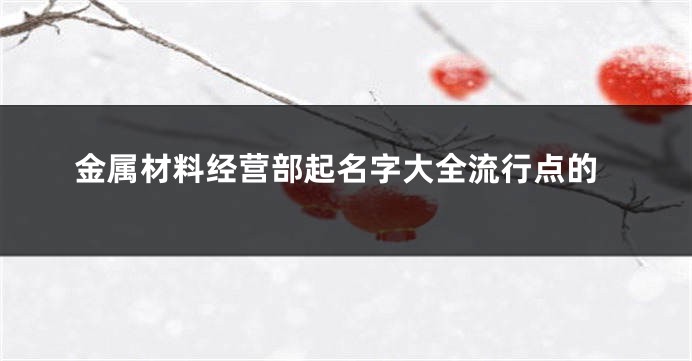 金属材料经营部起名字大全流行点的