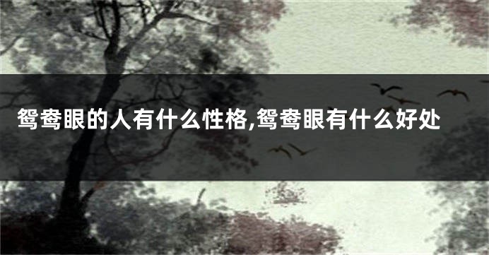 鸳鸯眼的人有什么性格,鸳鸯眼有什么好处