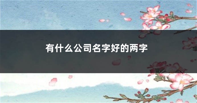 有什么公司名字好的两字