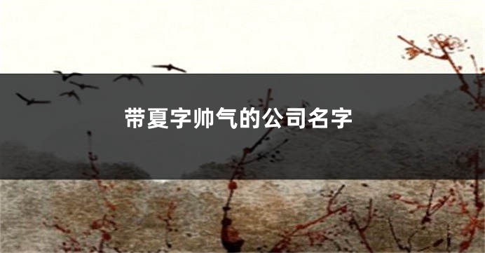 带夏字帅气的公司名字