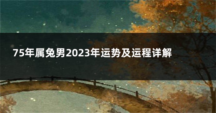 75年属兔男2023年运势及运程详解