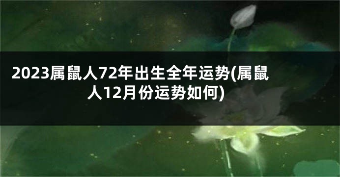 2023属鼠人72年出生全年运势(属鼠人12月份运势如何)